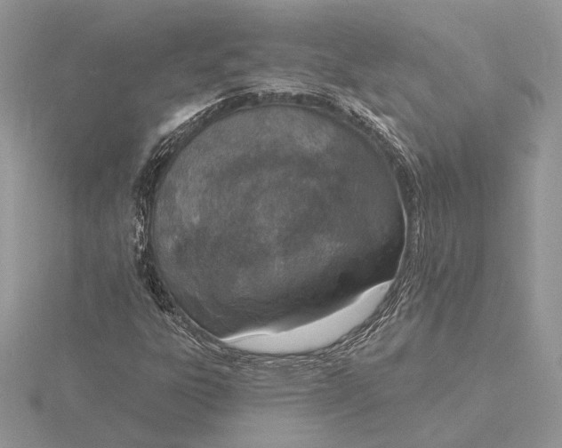 X0000116151303200912071255