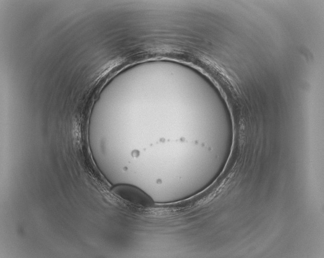 X0000116151305200912071255