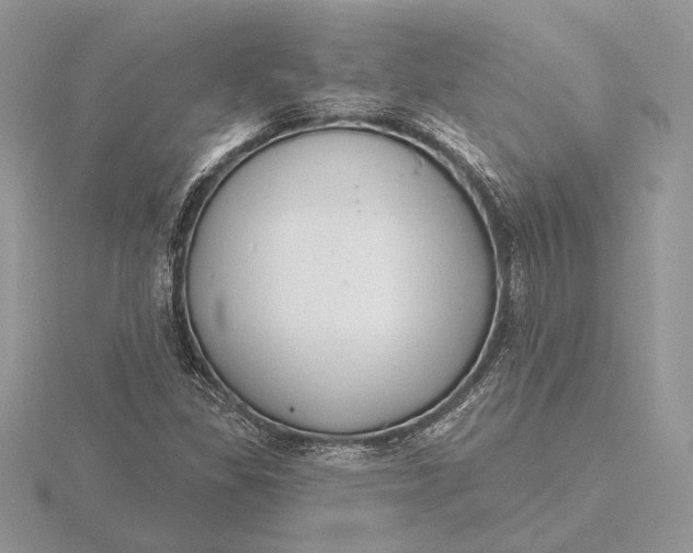 X0000116151309200912071255