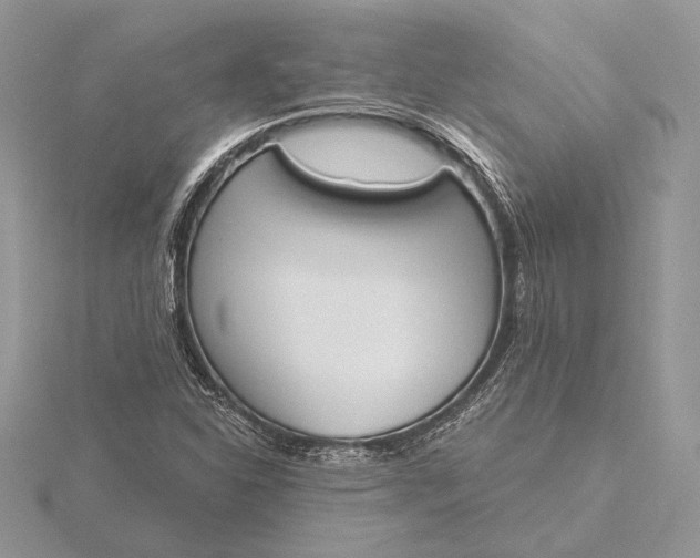 X0000116151310200912071255