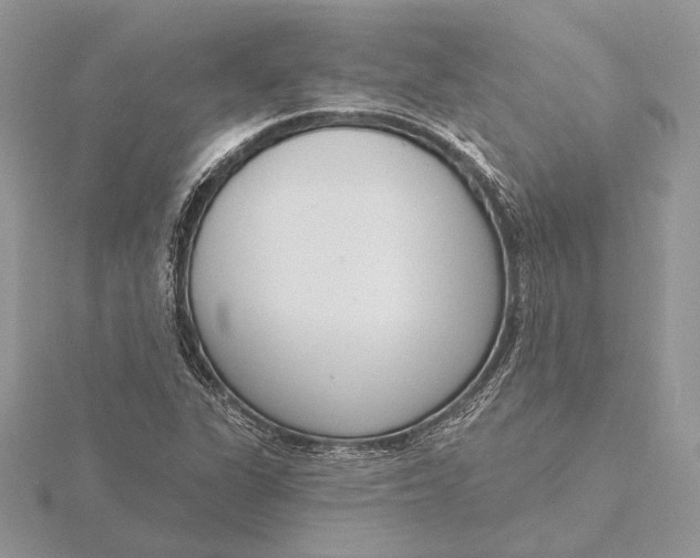 X0000116151311200912071255