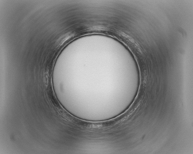 X0000116151313200912071255