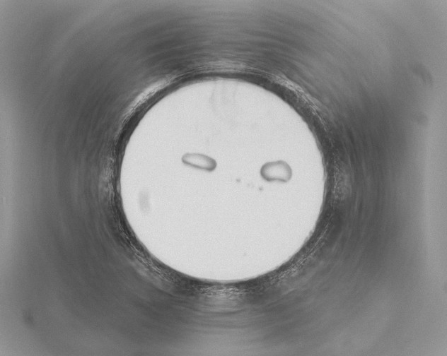 X0000116151314200912071255