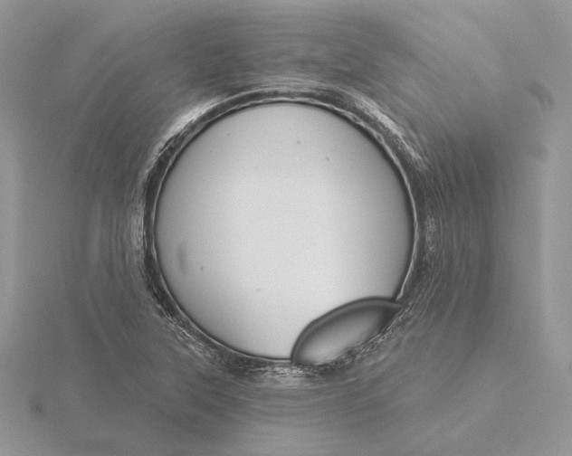 X0000116151315200912071255