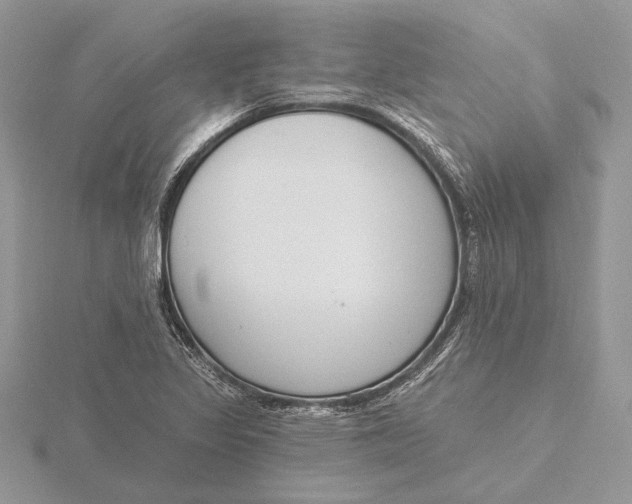 X0000116151317200912071255