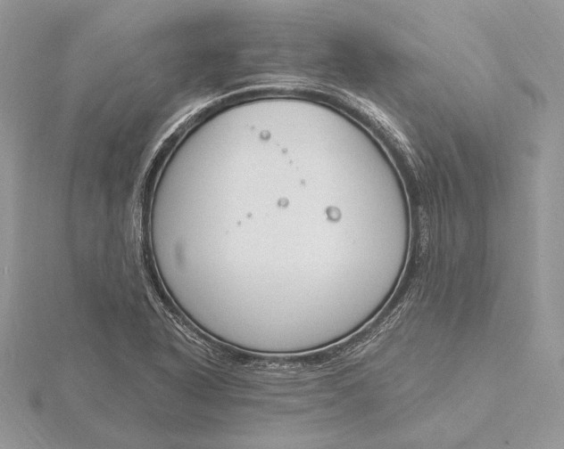 X0000116151318200912071255