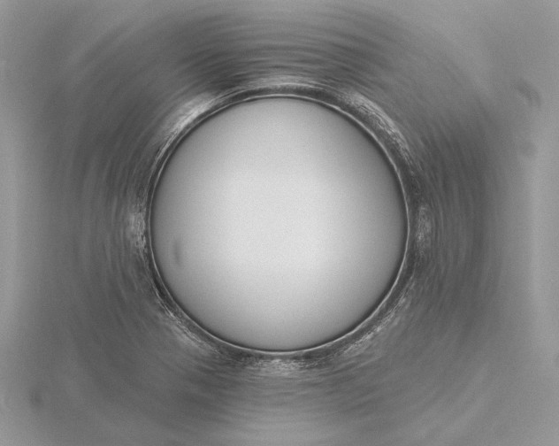 X0000116151321200912071255