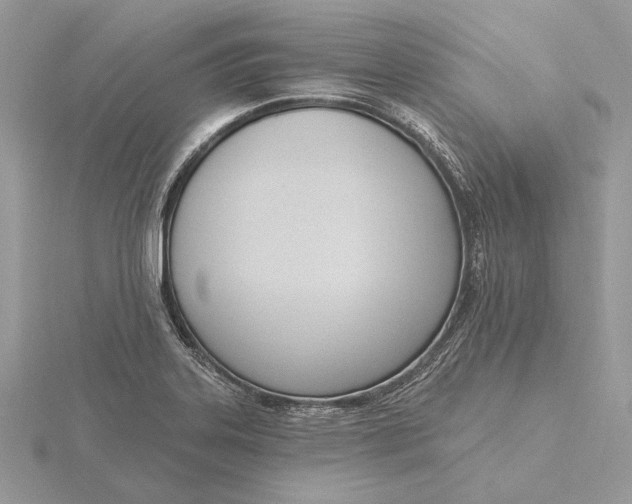 X0000116151323200912071255