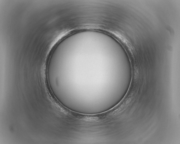 X0000116151325200912071255