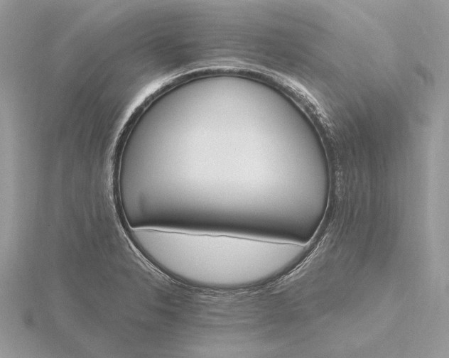 X0000116151326200912071255