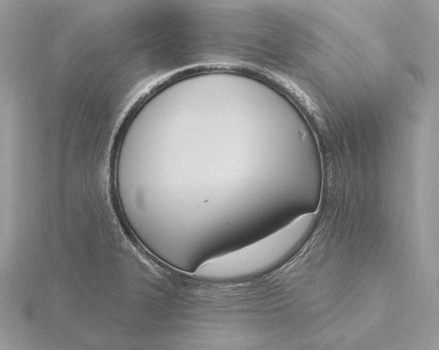 X0000116151327200912071255