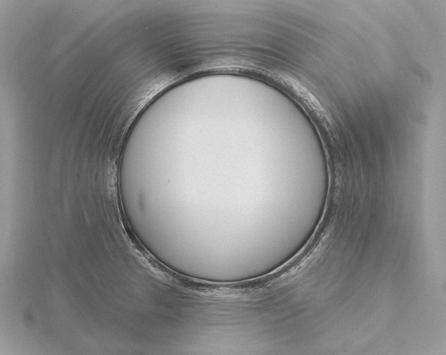 X0000116151329200912071255