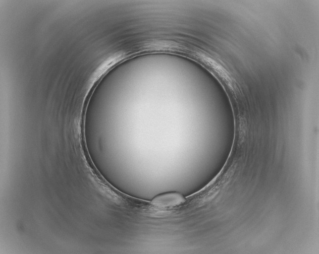 X0000116151330200912071255