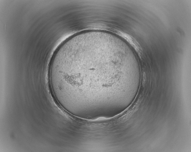 X0000116151331200912071255