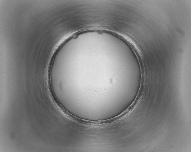 X0000116151333200912071255