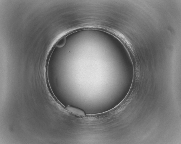 X0000116151334200912071255