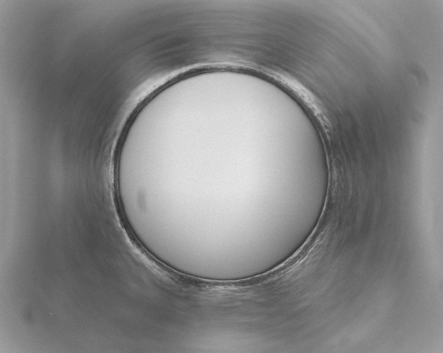 X0000116151335200912071255