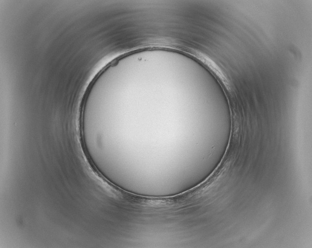 X0000116151339200912071256