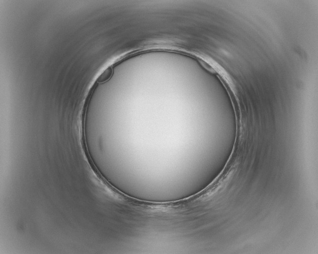 X0000116151341200912071256