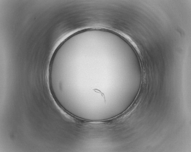 X0000116151343200912071256