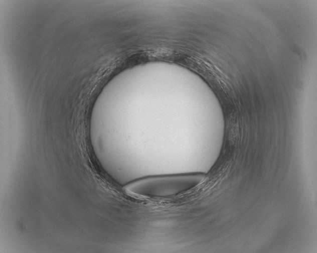 X0000116151345200912071255