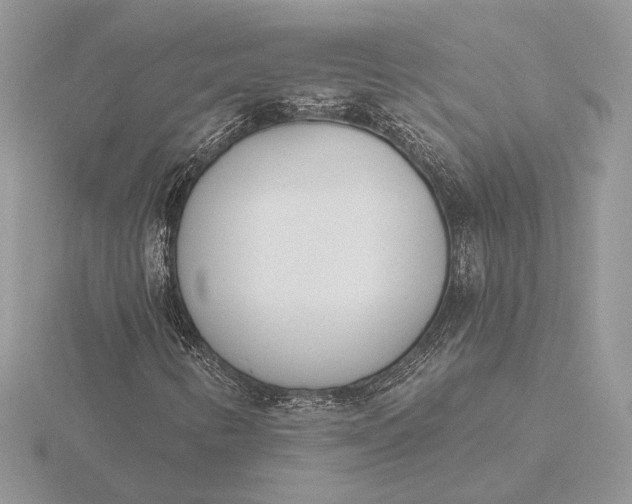 X0000116151346200912071255