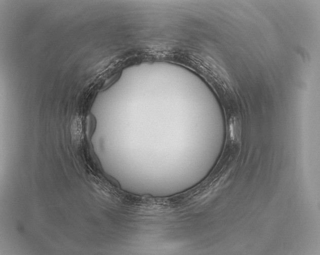 X0000116151347200912071255