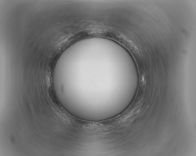 X0000116151348200912071255