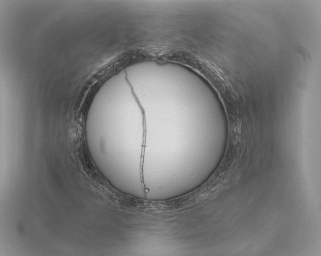 X0000116151349200912071255