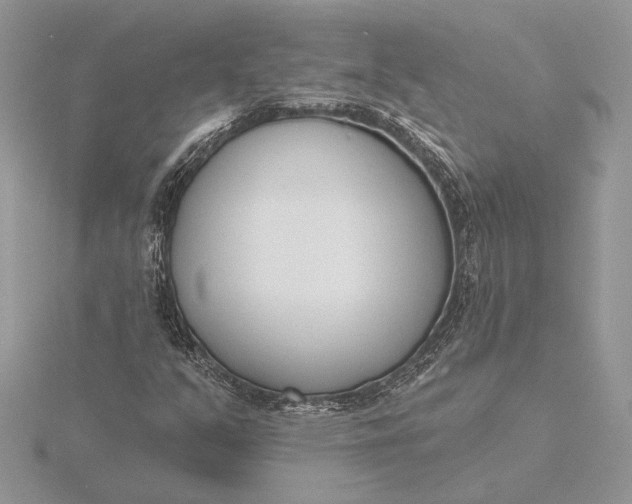 X0000116151351200912071255