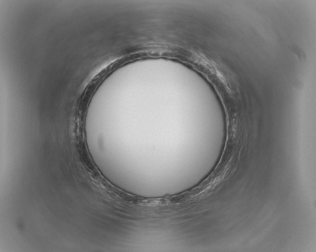 X0000116151352200912071255