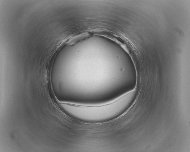 X0000116151353200912071255