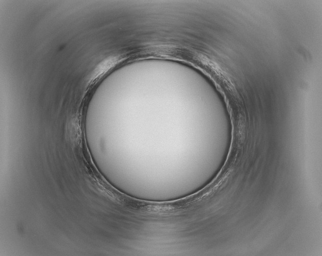 X0000116151354200912071255