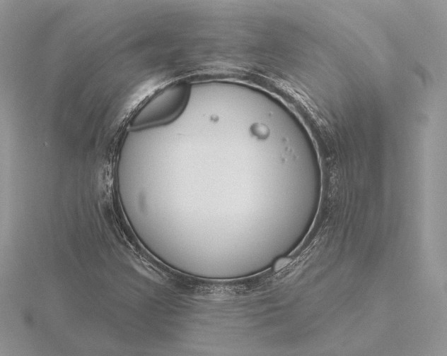 X0000116151355200912071255