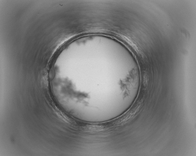 X0000116151356200912071255