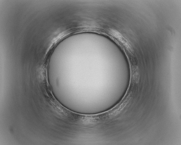 X0000116151357200912071255