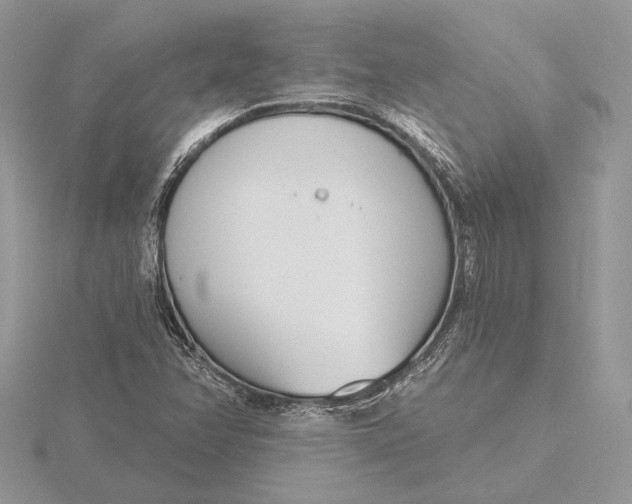 X0000116151358200912071255