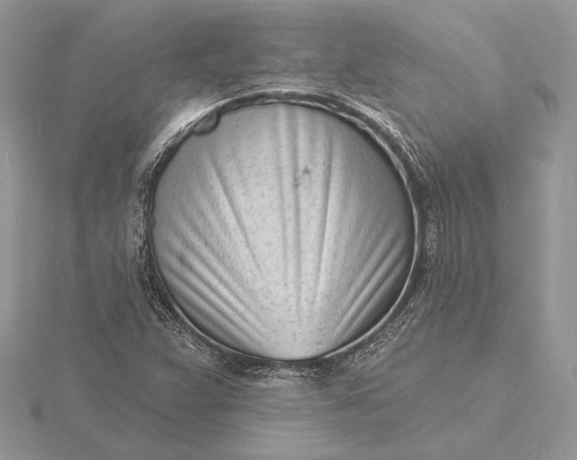 X0000116151359200912071255