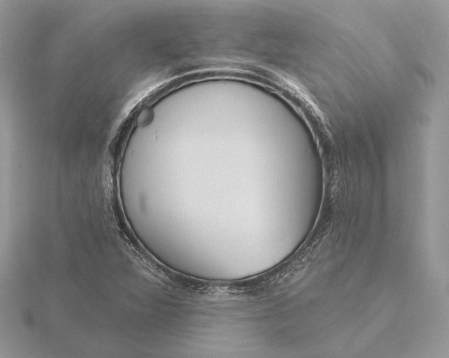 X0000116151360200912071255