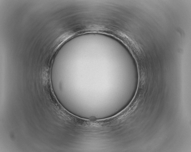 X0000116151361200912071255