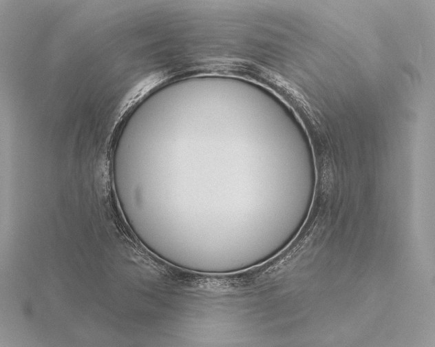 X0000116151362200912071255