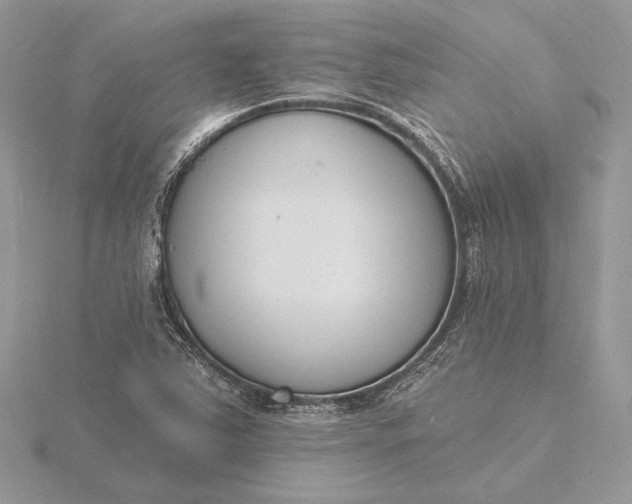 X0000116151363200912071255