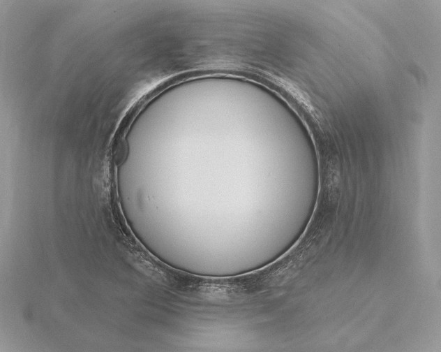 X0000116151364200912071255