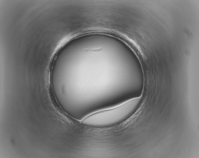 X0000116151365200912071255