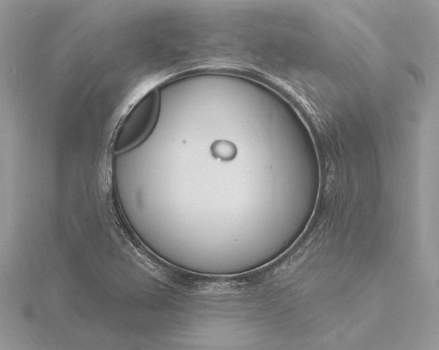 X0000116151367200912071255