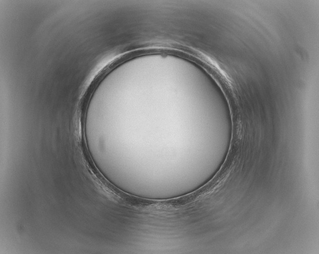 X0000116151368200912071255