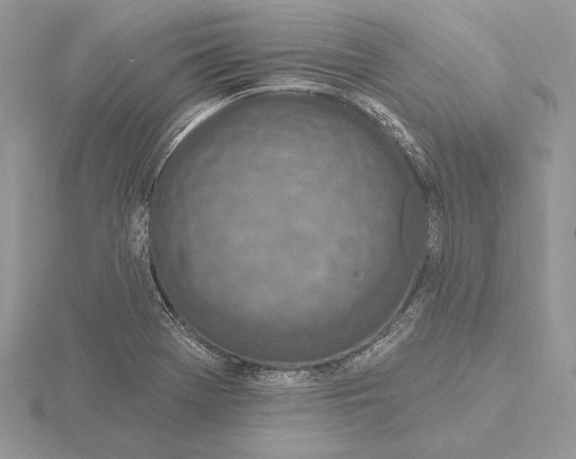 X0000116151369200912071255