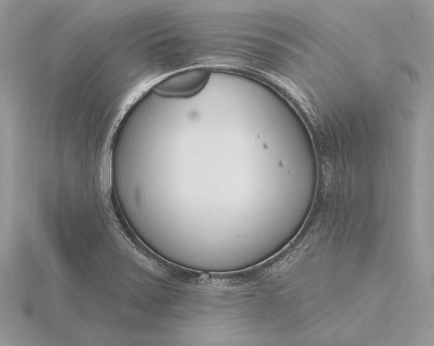 X0000116151371200912071255