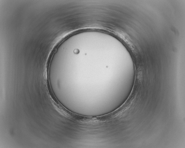 X0000116151372200912071254