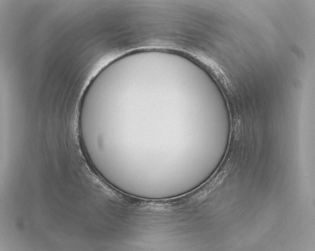 X0000116151374200912071254